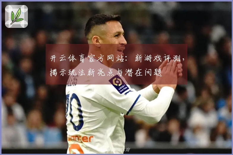 开云体育官方网站：新游戏评测，揭示玩法新亮点与潜在问题