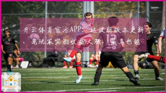 开云体育官方APP：这波新版本更新，老玩家实测收益大涨，菜鸟也能快速上手！