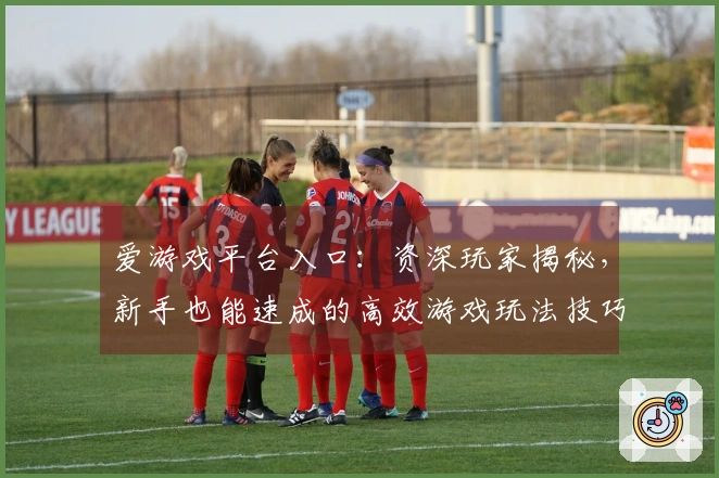 爱游戏平台入口：资深玩家揭秘，新手也能速成的高效游戏玩法技巧全掌握