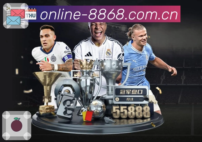 入口置顶与分类